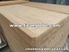 Sell Bamboo Plywood