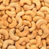 Raw Cashew Nuts