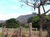 Fantastic Farm in Costa Rica