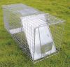 squirrels animal cage trap for sale
