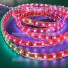 Sell LED Strip Light