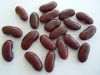 Sell Red Kidney Beans