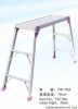 Aluminum Ladder Series