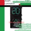 LED Traffic Lights with Countdown 2-Digit Timer (RX300-3-Z-GSM-2-A)