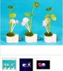 Sell Led COLOR LAMP ( PLANT SHAPE )