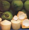 Sell Fresh Coconuts--Tender Coconuts & Semi-Husked Coconuts