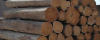 Wooden Teak logs