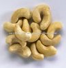 Cashew Nuts