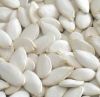 Snow pumpkin seeds