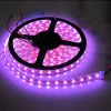 Sell led strip light/led flexible strips/led rope light