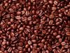 Export Coffee Beans Varieties