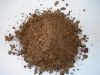 Peat Moss Sphaganum