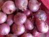 Fresh red and white Onion
