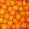 Mandarin Oranges