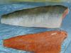 Coho Salmon Fish