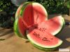 Sell fresh water-melons