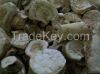 wild contrayerva (dried root pieces )