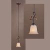 PLSI06-1A-Simple Modern Iron Pendant Lamp / Chandeliers