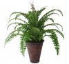 Sell  Artificial Boston Ferns