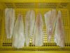 sell Alaska Pollock fillets