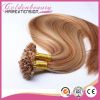 european hot selling I, U, V, flat tip pre bonded hair extension