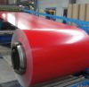 Prepainted steel coils