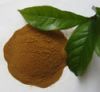 Sell fulvic acid 80% 90%--99% soluble