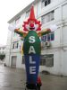 Sell inflatable skydance, inflatable air dance