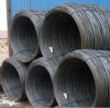 Sell wire rod