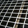 Sell crimped wire mesh for choose fruit