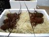 Live California Spiny red Lobster
