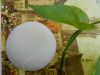 Konjac sponge