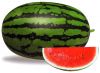 Sell watermelon seeds