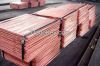 High Quality Copper Cathode 99.99% Factory Price
