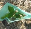 Sell Plastic vine grow protector