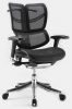 HOOKAY Office Mesh Chair  (FLY-M02) with Five years warranty