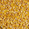 Sell Yellow Corn