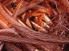 Copper Scraps Suppliers | Copper Scrap Exporters | Copper Scrap Manufacturers | Cheap Copper Scrap | Wholesale Copper Scraps | 99.99% Copper Wire Scrap| Millberry Copper Scrap | Cheap Copper Scrap | High Purity Copper Scrap | Bulk Copper Scraps | Copper S