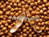 Sudanese Soybeans