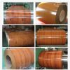 prepainted wooden steel coil PPGI
