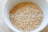 Quinoa Grains