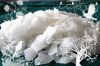 sell magnesium chloride