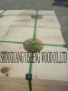 Commercial Plywood for Package/Cable packing