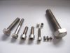 titanium screw