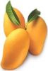Fresh Mangoes/Fresh Oranges/FRice / SeaFood / Potato / Portland Cement