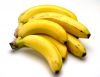 Sell Fresh Bananas