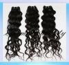 Sell body straight curly human hair 100% virgin indian hair weave