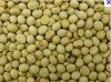 Soybeans  (GMO)