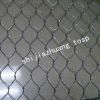 Sell hexagonal wire netting