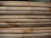 Sell Tonkin bamboo pole